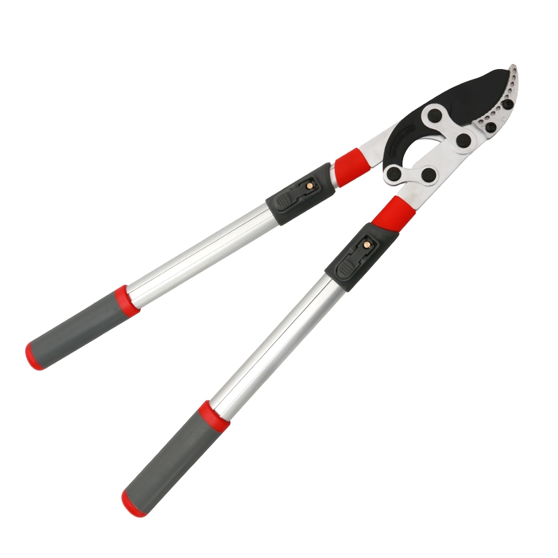 9955
