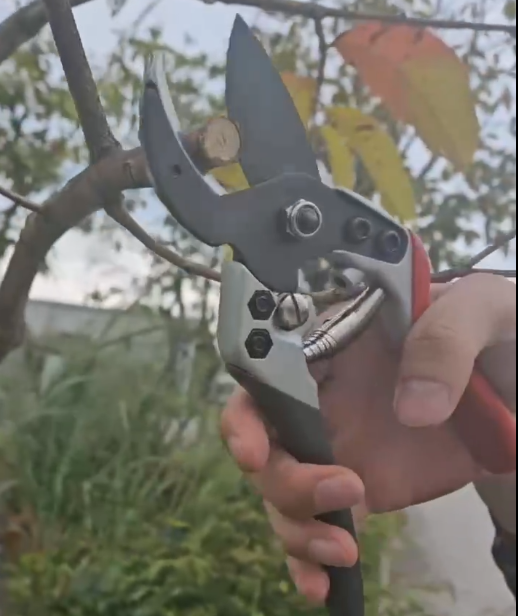 Pruning and Cutting Series